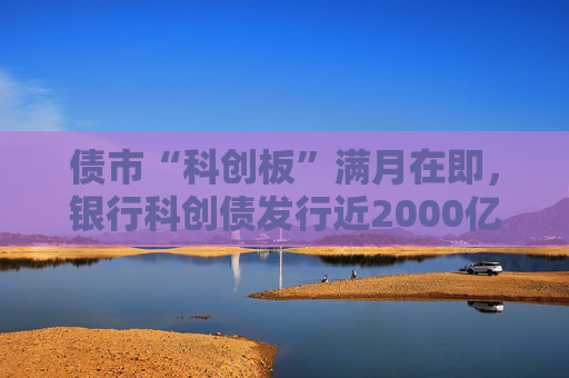 债市“科创板”满月在即，银行科创债发行近2000亿，大行热情高，中小行参与仍有限