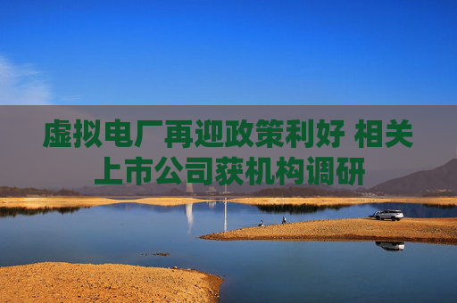 4480yy在线A片无码 虚拟电厂再迎政策利好 相关上市公司获机构调研  第1张