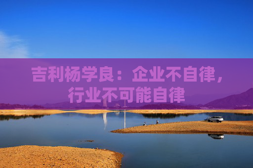 吉利杨学良：企业不自律，行业不可能自律