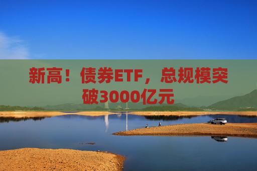 新高！债券ETF，总规模突破3000亿元