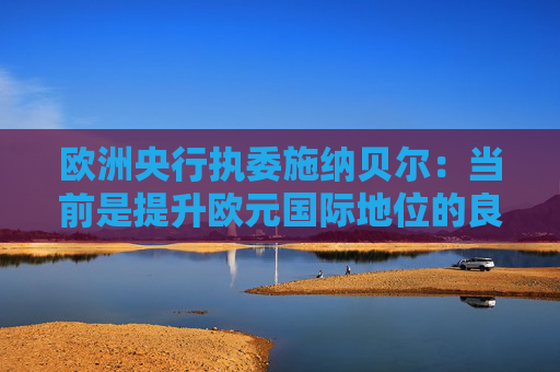 欧洲央行执委施纳贝尔：当前是提升欧元国际地位的良机