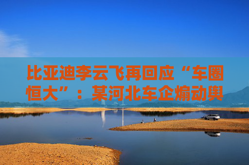 比亚迪李云飞再回应“车圈恒大”：某河北车企煽动舆论，经查没有问题  第1张
