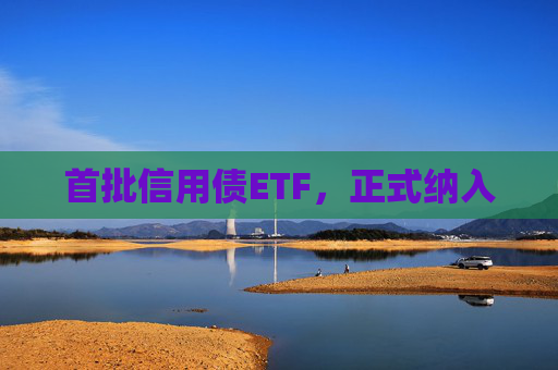 首批信用债ETF，正式纳入