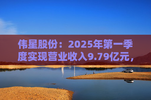 伟星股份：2025年第一季度实现营业收入9.79亿元，同比增长22.32%  第1张