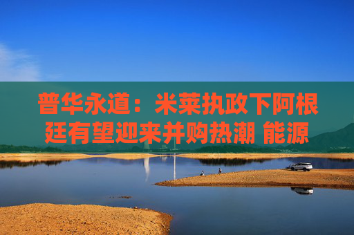普华永道：米莱执政下阿根廷有望迎来并购热潮 能源领域成焦点