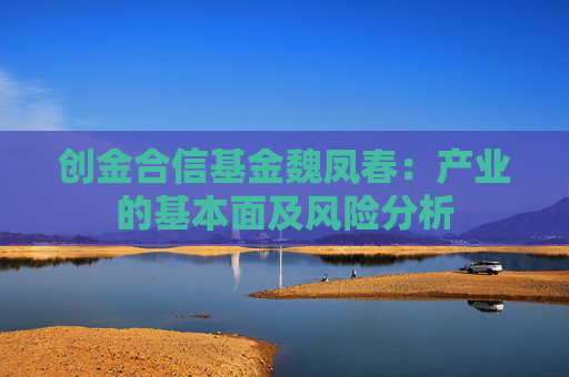 4500网约外围模特女神 创金合信基金魏凤春：产业的基本面及风险分析  第1张