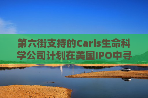第六街支持的Caris生命科学公司计划在美国IPO中寻求53亿美元估值