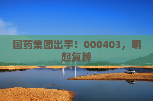 4500网约外围模特女神 国药集团出手！000403，明起复牌  第1张