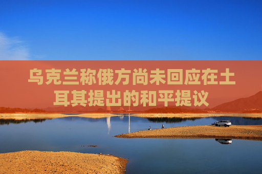 4480yy在线A片无码 乌克兰称俄方尚未回应在土耳其提出的和平提议  第1张