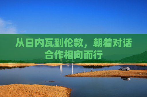 4500网约外围模特女神 从日内瓦到伦敦，朝着对话合作相向而行  第1张
