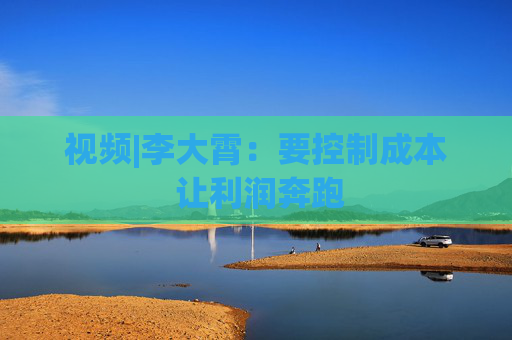 4480午夜理论免费无码 视频|李大霄：要控制成本 让利润奔跑  第1张