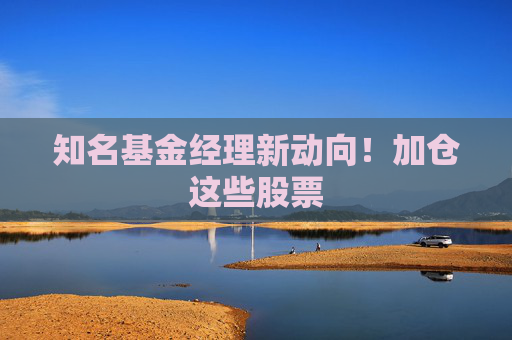 知名基金经理新动向！加仓这些股票