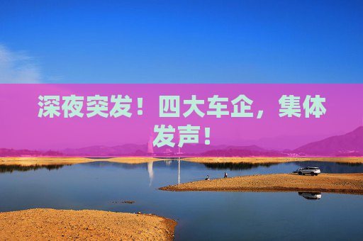 4500网约外围模特女神 深夜突发！四大车企，集体发声！  第1张