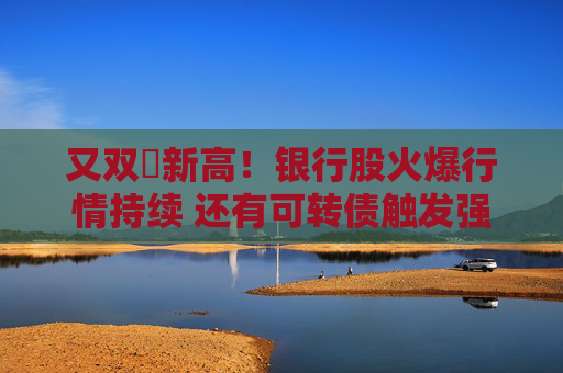 又双叒新高！银行股火爆行情持续 还有可转债触发强赎