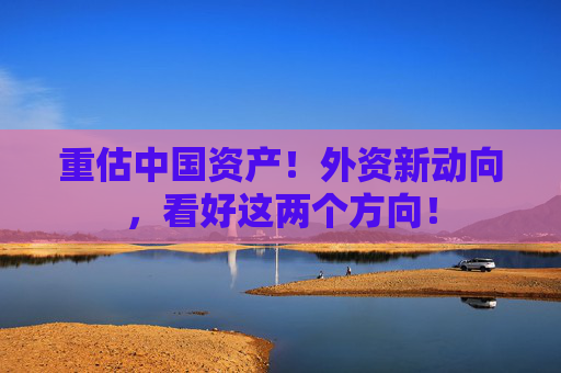 重估中国资产！外资新动向，看好这两个方向！