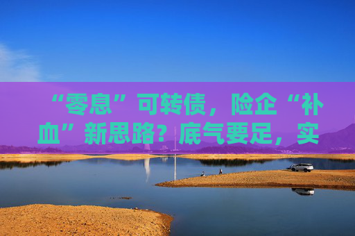 “零息”可转债，险企“补血”新思路？底气要足，实力要硬！