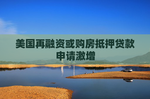4480午夜理论免费无码 美国再融资或购房抵押贷款申请激增  第1张