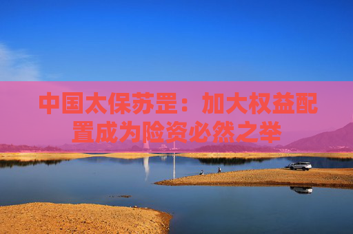 中国太保苏罡：加大权益配置成为险资必然之举