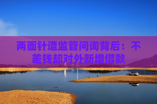 两面针遭监管问询背后：不差钱却对外新增借款