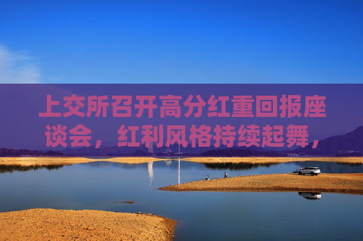 上交所召开高分红重回报座谈会，红利风格持续起舞，红利低波ETF（512890）最新规模再创新高