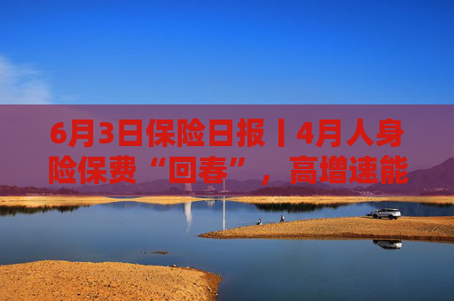 6月3日保险日报丨4月人身险保费“回春”，高增速能否持续？险企分支机构再瘦身，险资第三轮举牌潮进行时