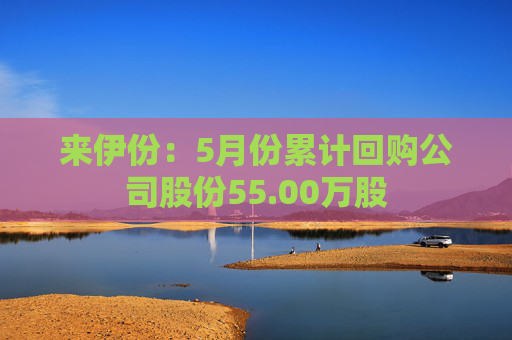 4500网约外围模特女神 来伊份：5月份累计回购公司股份55.00万股  第1张