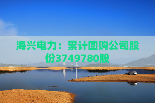 4480yy在线A片无码 海兴电力：累计回购公司股份3749780股  第1张