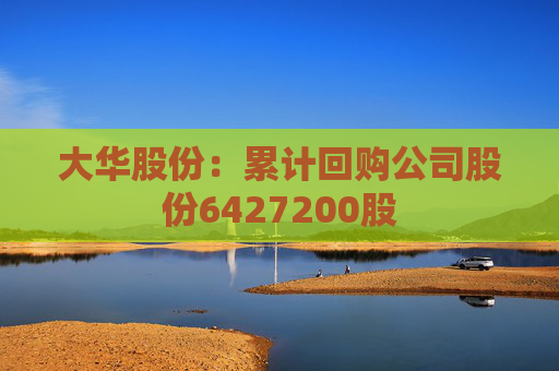 大华股份：累计回购公司股份6427200股