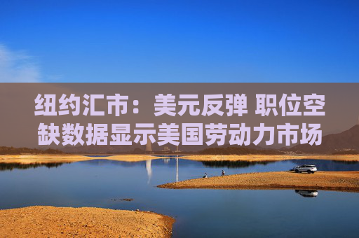 纽约汇市：美元反弹 职位空缺数据显示美国劳动力市场依然稳健