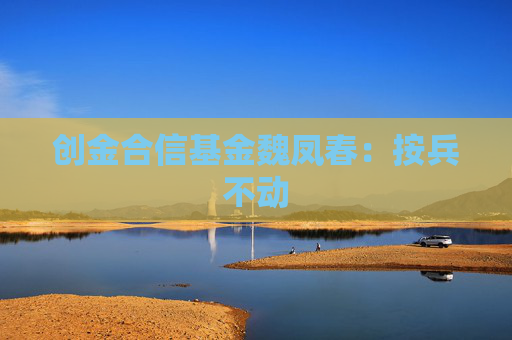 4480yy在线A片无码 创金合信基金魏凤春：按兵不动  第1张