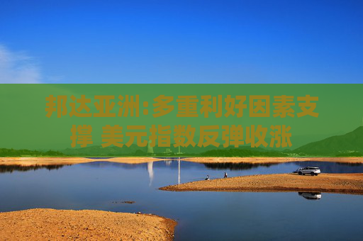 邦达亚洲:多重利好因素支撑 美元指数反弹收涨