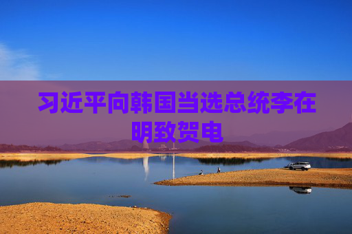 4500网约外围模特女神 习近平向韩国当选总统李在明致贺电  第1张