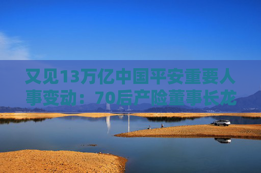又见13万亿中国平安重要人事变动：70后产险董事长龙泉罕见出任集团党委委员，寿险或外引一名CTO