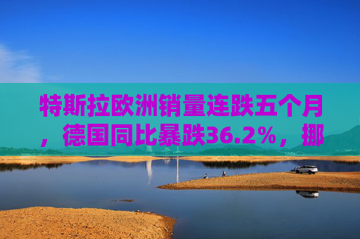 特斯拉欧洲销量连跌五个月，德国同比暴跌36.2%，挪威市场成亮点
