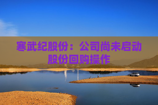 寒武纪股份：公司尚未启动股份回购操作
