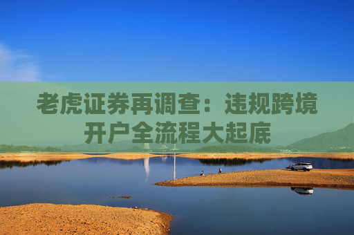 4480午夜理论免费无码 老虎证券再调查：违规跨境开户全流程大起底  第1张