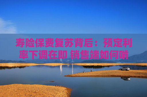 寿险保费复苏背后：预定利率下调在即 销售端如何啃下分红险“硬骨头”