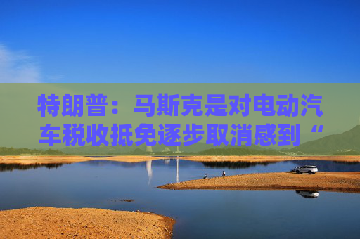 特朗普：马斯克是对电动汽车税收抵免逐步取消感到“不满”