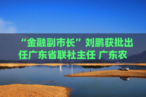“金融副市长”刘鹏获批出任广东省联社主任 广东农信系统将组建农商联合银行