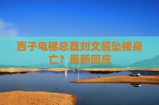 4480午夜理论免费无码 西子电梯总裁刘文超坠楼身亡？最新回应  第1张
