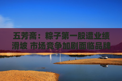 五芳斋：粽子第一股遭业绩滑坡 市场竞争加剧面临品牌与渠道的重构挑战