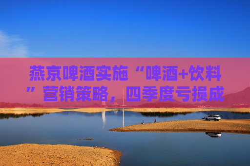 燕京啤酒实施“啤酒+饮料”营销策略，四季度亏损成顽疾，董事长耿超此前称“焦虑到睡不着”