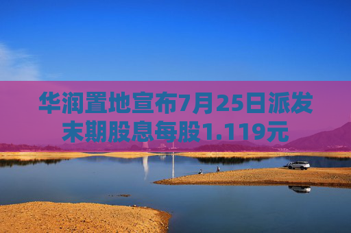 4480午夜理论免费无码 华润置地宣布7月25日派发末期股息每股1.119元  第1张