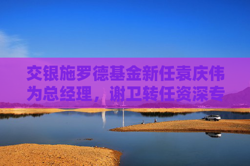 交银施罗德基金新任袁庆伟为总经理，谢卫转任资深专家