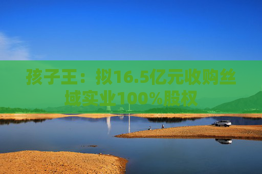 孩子王：拟16.5亿元收购丝域实业100%股权