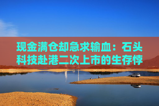 现金满仓却急求输血：石头科技赴港二次上市的生存悖论