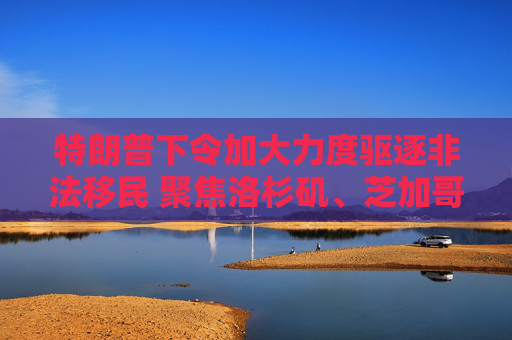 特朗普下令加大力度驱逐非法移民 聚焦洛杉矶、芝加哥和纽约等大城市  第1张