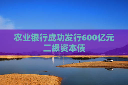 农业银行成功发行600亿元二级资本债