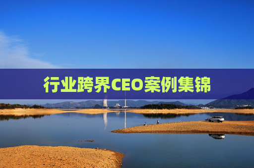 行业跨界CEO案例集锦