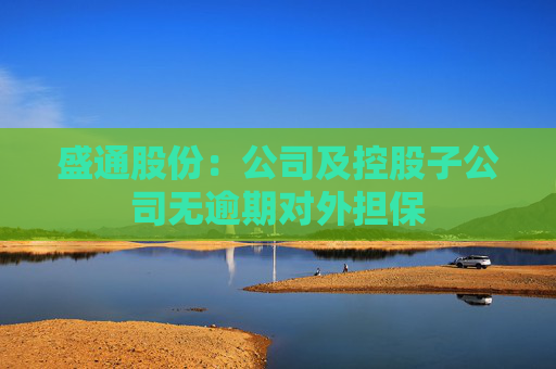盛通股份：公司及控股子公司无逾期对外担保